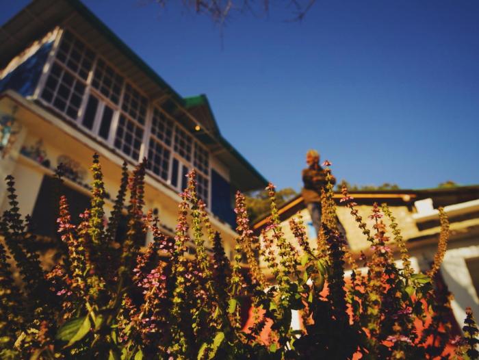 Vista Hostel Jeolikote, Nainital,,3 star