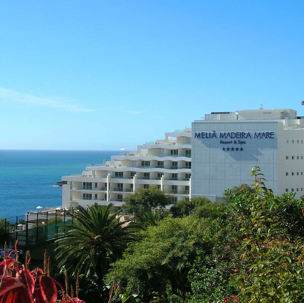 melia madeira mare