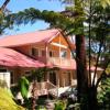 volcano forest inn