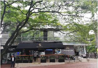provenza lofts