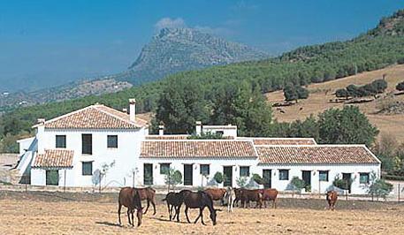 Hotel El Horcajo,Grazalema>>Benaocaz,3 star