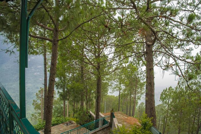 Sun Pine Villa By Exotic Stays,Kasauli>>Baddi,3 star