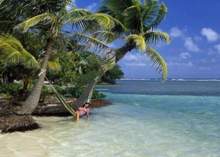 Axios Sun Apartments Caye Caulker,Caye Caulker>>Belize City,0 star