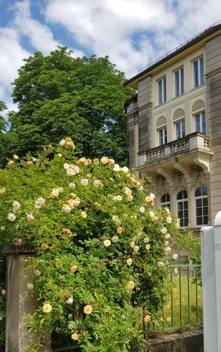 Hotel Villa Lalee,Saxony>>Dresden,3 star