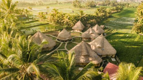 mana earthly paradise hostel