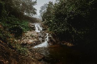 Stream Garden Mountain Resort,Kolagappara>>Kalpetta,2 star