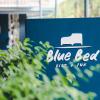 blue bed hotel