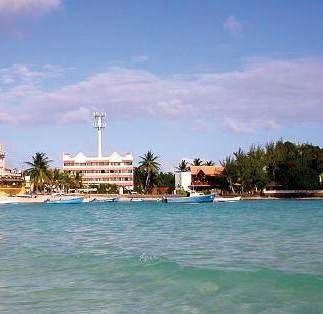 yellow bird hotel