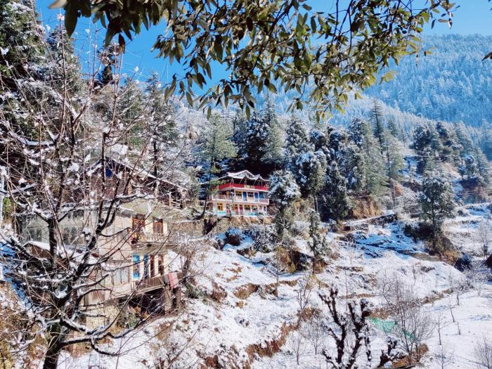 the hostalgic jibhi hostel