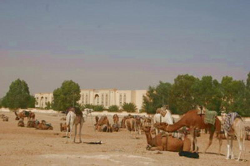 El Mouradi Douz,Douz Nord>>Douz,4 star