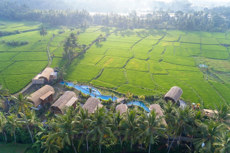 Beehouse Dijiwa Ubud,Gianyar>>Bali,4 star