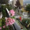 Hotel Rincon Escandinavo,,3 star