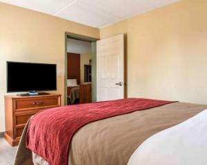 comfort inn and suites