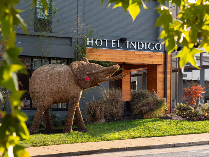 Hotel Indigo Chattanooga - Downtown, An Ihg Hotel,Hamilton County>>Chattanooga,3.5 star