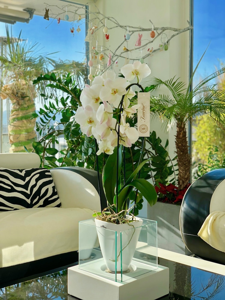 Perfect Lifestyle Design Boutique & Private Spa,Brugg>>Baden,3.5 star