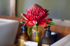 Hillsnek Safari Camp - Amakhala Game Reserve,Addo Elephant National Park>>Addo,4 star