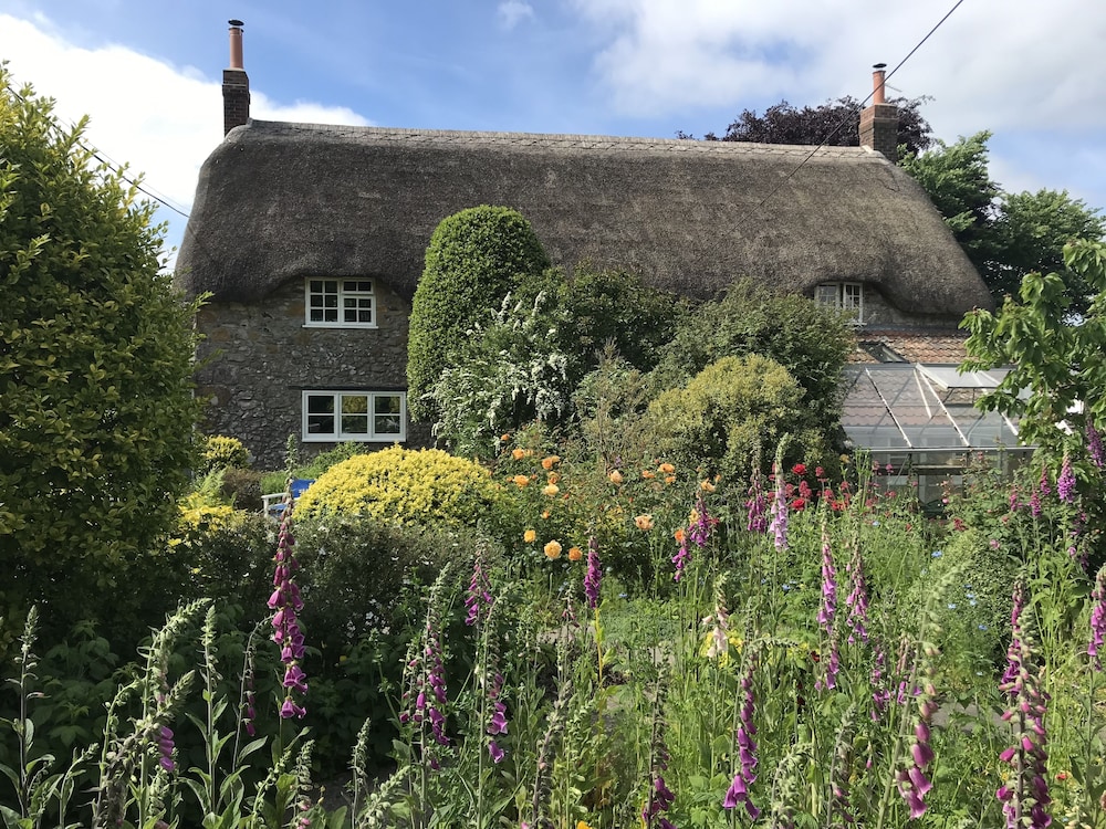 Corner House,Cudworth St. Michael Ilminster Somerset Ta19 0Pr,2.5 star