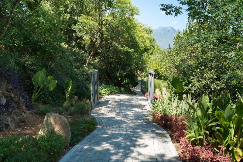 Gamma Monterrey Rincon De Santiago,Guadalupe>>Apodaca,3.5 star