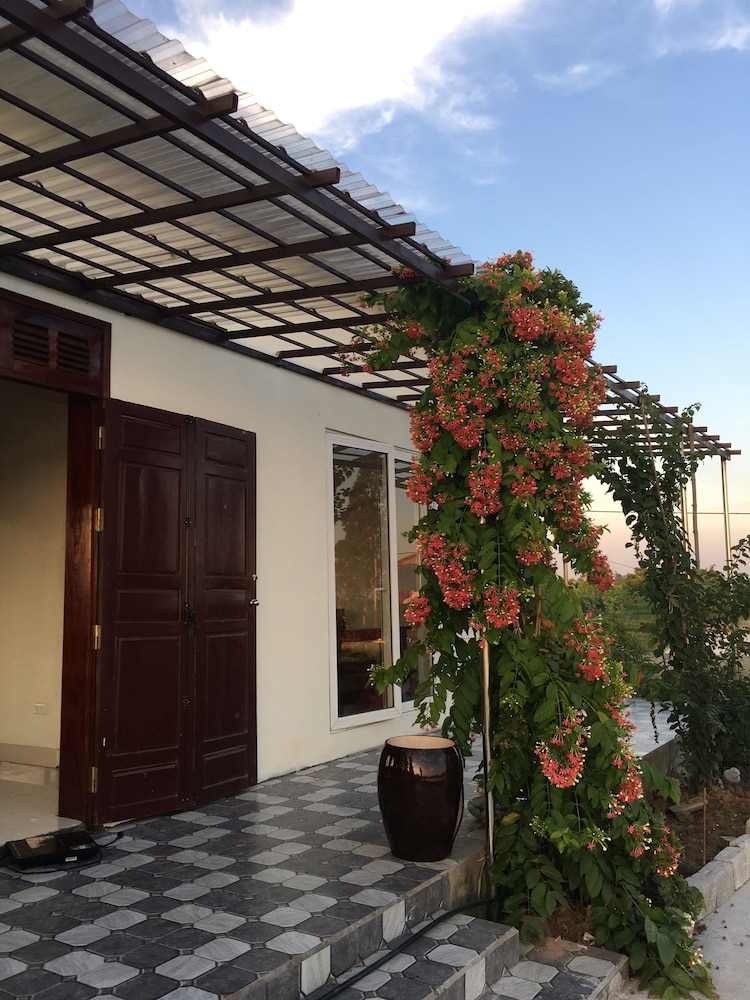 Lotus House,Ngoc Lien Dai Ha Kien Thuy Hai Phong,2 star