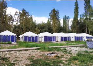 julley world camp