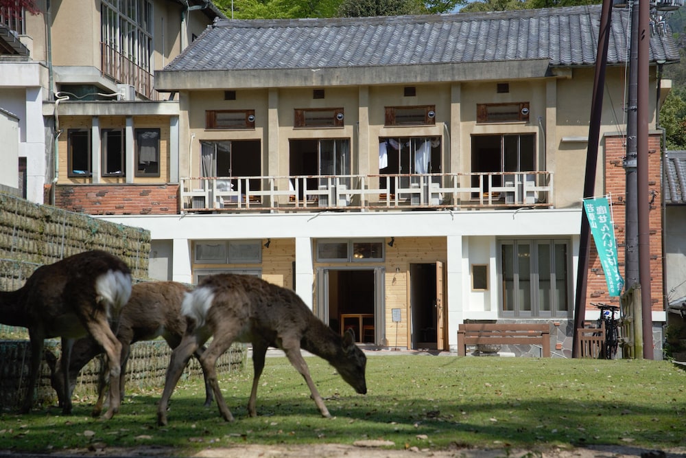 mountain home lodge in deer park