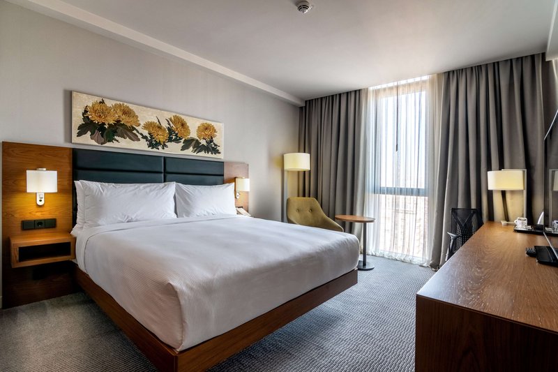 Hilton Garden Inn Tbilisi Chavchavadze,Vake-Saburtalo>>Tbilisi,3.5 star