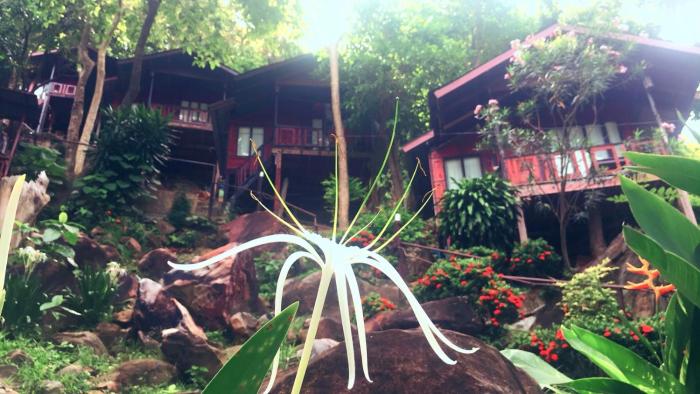 phi phi green hill resort