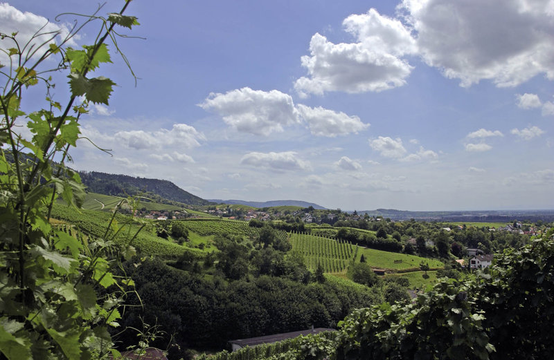 Holiday Inn Express Offenburg, An Ihg Hotel,Offenburg>>Baden-Württemberg,3.5 star