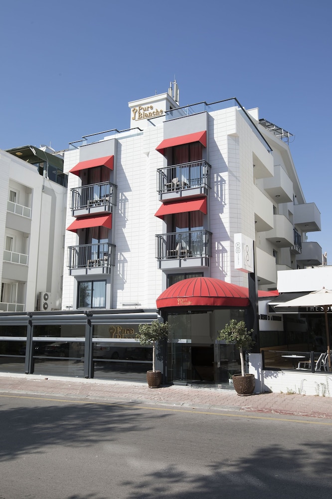 pure blanche hotel