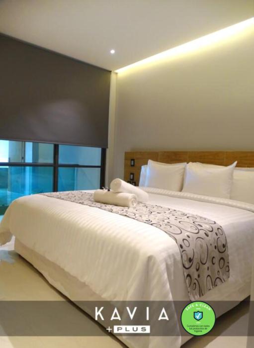 Hotel Kavia Plus,Cozumel>>Cancun,3.5 star