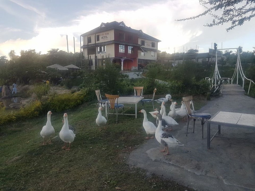 Macha Beach Resort,,2.5 star