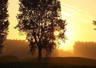 Best Western Hotel Du Lac Dunkerque,On A Lake,3 star