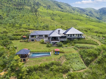 camellia hills