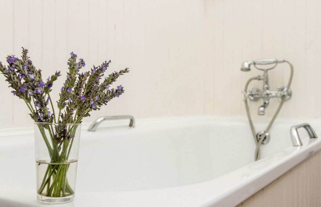 Albatross Guest House,Simon's Town>>Cape Town,4 star