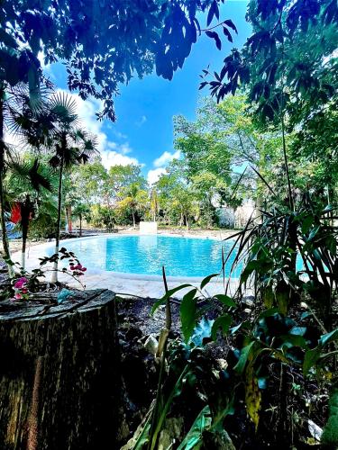 hotel tequila cancun