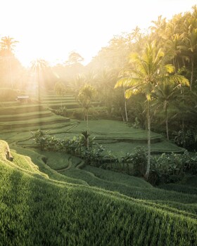 Villa Oia Ubud,,4 star