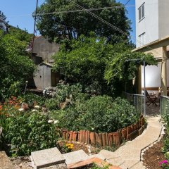 Fabexpress Wild Orchid,DIAMOND HARBOUR,3 star