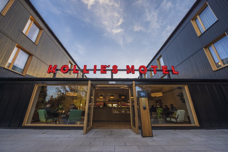 mollies motel and diner