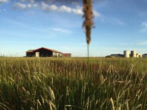 lindartun guesthouse