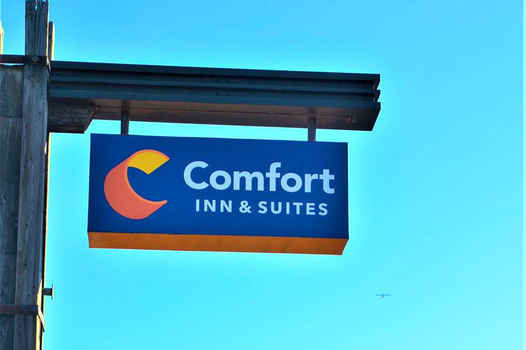 comfort inn and suites vancouver downtown city center