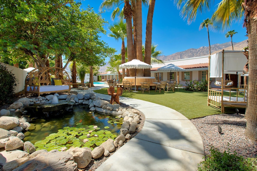 Dive Palm Springs,Riverside>>Palm Springs,2.5 star