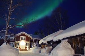 Lauri Historical Log House Manor,,3 star