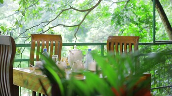 ceylon adventures