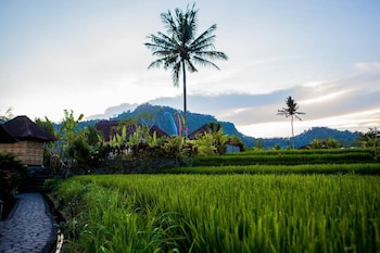 Pelangi Villas Sidemen,,2.5 star