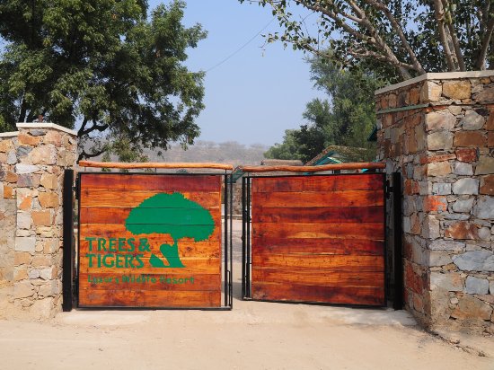 Trees & Tigers,,3 star
