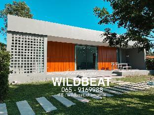 wildbeat chiang mai