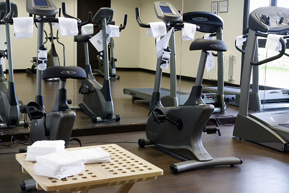 Hotel Palacio De Luces,Cangas De Onis>>Asturias,5 star