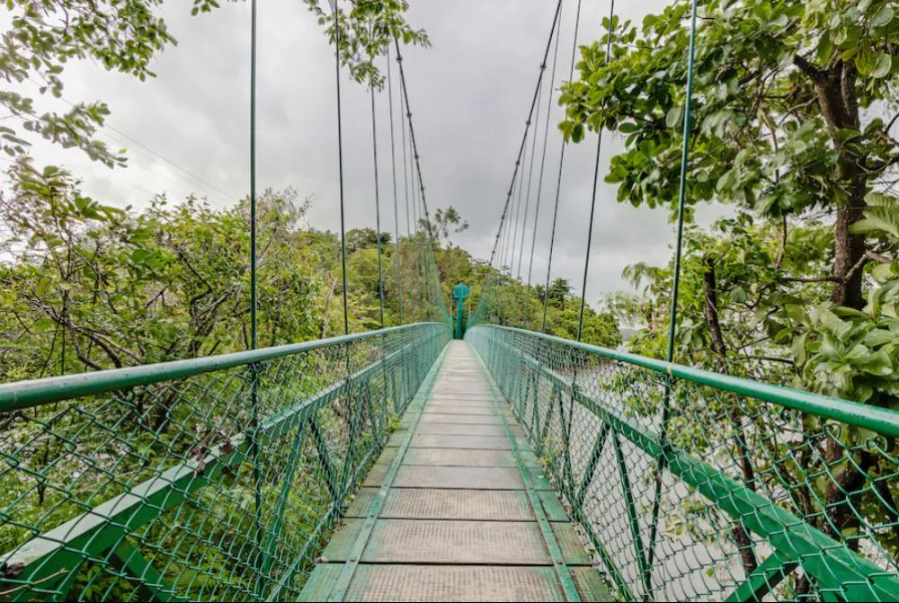 The River Tern Lodge - Junglelodges