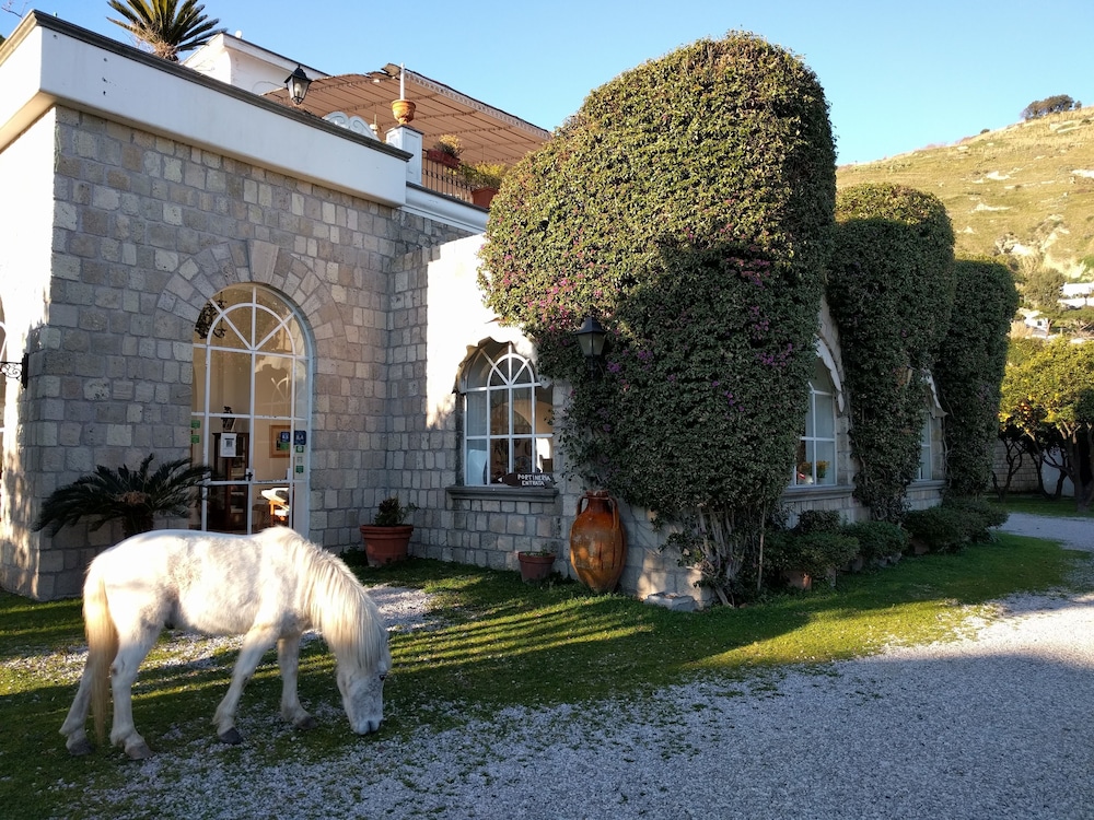 Villa Tara,Ischia Island>>Ischia,3 star