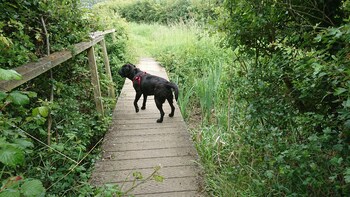 norfolk coast bandb cottages and camping